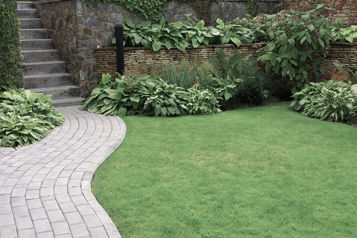 Welcome to Maple Tree Landscaping